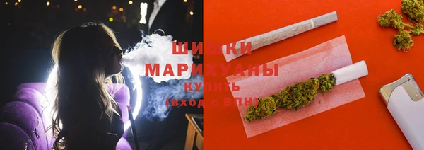 прущие крисы Белокуриха