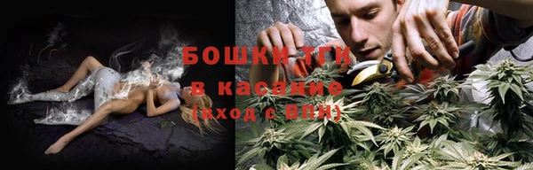 прущие крисы Белокуриха