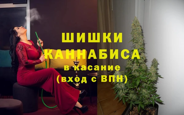 прущие крисы Белокуриха